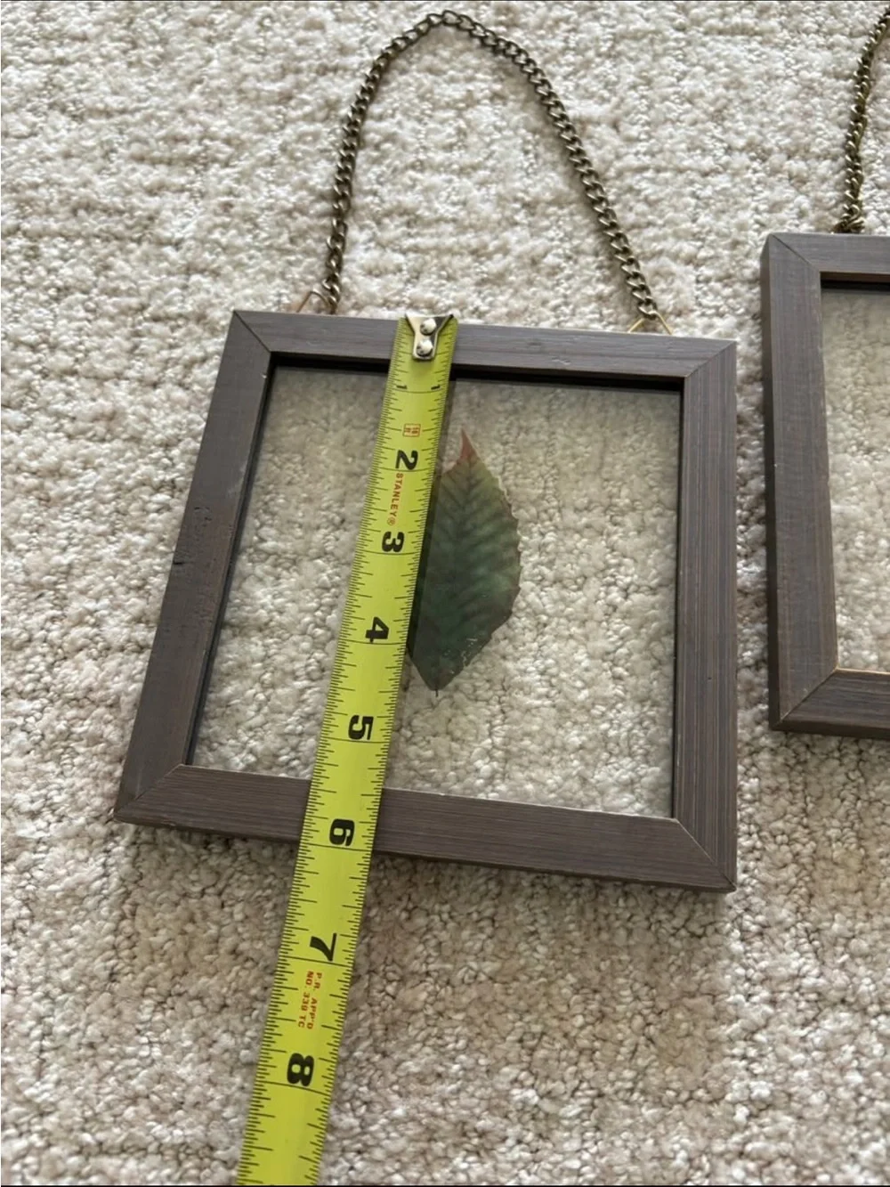 2 BOTANICAL LEAVES IN GLASS FRAMED WALL DECOR